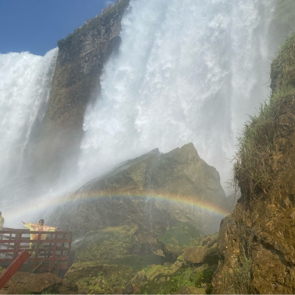 Meet your Posher, Willoh